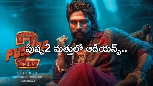 Allu Arjun: పుష్ప2 దెబ్బకు బాలీవుడ్ విలవిల.. అసలేమైందంటే..?