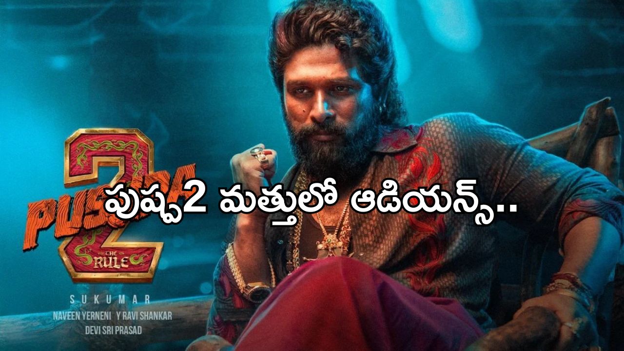 Allu Arjun: పుష్ప2 దెబ్బకు బాలీవుడ్ విలవిల.. అసలేమైందంటే..?