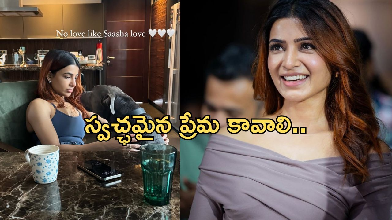 Samantha: అలాంటి ప్రేమ ఎప్పటికీ దొరకదు.. సమంత పోస్ట్ వైరల్..!