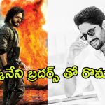 Akhil New Movie : అఖిల్ తో పుష్ప హీరోయిన్ రొమాన్స్… నాగ చైతన్యతో కూడా