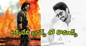 Akhil New Movie : అఖిల్ తో పుష్ప హీరోయిన్ రొమాన్స్... నాగ చైతన్యతో కూడా