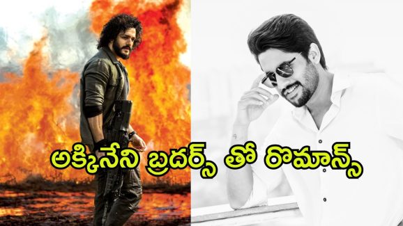 Akhil New Movie : అఖిల్ తో పుష్ప హీరోయిన్ రొమాన్స్… నాగ చైతన్యతో కూడా