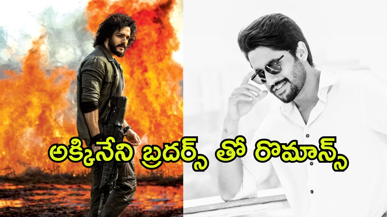 Akhil New Movie : అఖిల్ తో పుష్ప హీరోయిన్ రొమాన్స్… నాగ చైతన్యతో కూడా