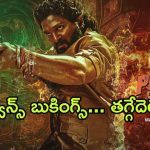 Pushpa 2 Advance Booking : రిలీజ్ కు ముందే మొదలైన రికార్డుల జాతర… 30 కోట్లు దాటిన అడ్వాన్స్ బుకింగ్స్
