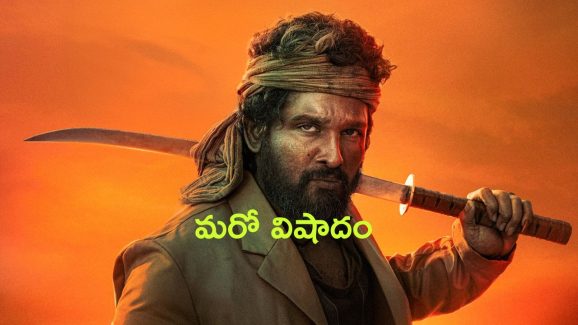 Pushpa 2: The Rule : ‘పుష్ప 2’ చూడడానికి వెళ్తూ ట్రైన్ యాక్సిడెంట్… 19 ఏళ్ల యువకుడి మృతి