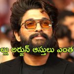 Allu Arjun : ‘ పుష్ప 2’ తరువాత అల్లు అర్జున్ ఆస్తులు ఎంత పెరిగాయో తెలుసా?