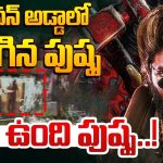 Pushpa 2 : పుష్ప చిరిగింది… పవన్ అడ్డాలో అలజడి