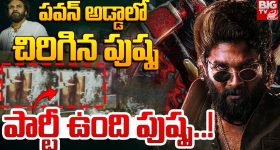YCP Supports Pushpa 2: మెగా ఫ్యాన్స్ లేకపోతే ఏంటి, మేము ఉన్నాం.. అల్లు అర్జున్‌కు వైసీపీ ఫాలోవర్స్ సపోర్ట్