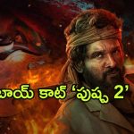 Boycott Pushpa 2 : ట్రెండింగ్ లో బాయ్ కాట్ “పుష్ప 2″… టికెట్ రేట్లు కారణమా? ఇతర హీరోల అభిమానుల ద్వేషమా?