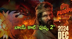 Boycott Pushpa 2 : ట్రెండింగ్ లో బాయ్ కాట్ "పుష్ప 2"... టికెట్ రేట్లు కారణమా? ఇతర హీరోల అభిమానుల ద్వేషమా?