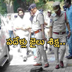 Allu Arjun : అల్లు అర్జున్ కు 10 ఏళ్లు జైలు శిక్ష తప్పదా..?