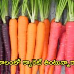 Carrot: చలికాలంలో క్యారెట్ తింటున్నారా ?