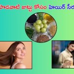 Hair Growth Tips: పొడవాటి జుట్టు కావాలా..? అయితే హెయిర్ సీరమ్‌ని ట్రై చేయండి..