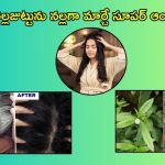White Hair Tips: ఈ ఒక్కహెయిర్ ఆయిల్ ట్రై చేశారంటే.. జీవితంలో తెల్లజుట్టు రాదు..