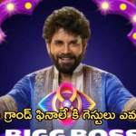 Bigg Boss8 Telugu : బిగ్ బాస్ 8 గ్రాండ్ ఫినాలే ఎప్పుడు? గెస్టులు ఎవరంటే?