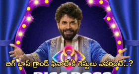 Bigg Boss8 Telugu : బిగ్ బాస్ 8 గ్రాండ్ ఫినాలే ఎప్పుడు? గెస్టులు ఎవరంటే?