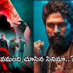 Rewind 2024 : ఈ ఏడాది ఎక్కువ మంది చూసిన సినిమా ఇదే.. ఆ మూవీ రికార్డులు బ్రేక్..