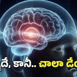 Brain Tumor: ఈ చిన్న సమస్య తీవ్రమైతే బ్రెయిన్ ట్యూమర్‌‌కు కారణం అవుతుందా?