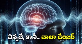 Christmas 2024: క్రిస్మస్ ఎందుకు జరుపుకుంటారు ?