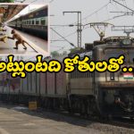 Monkeys Fight for Banana: కోతుల మధ్య కొట్లాట, నిలిచిన రైళ్ల రాకపోకలు!