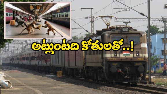 Monkeys Fight for Banana: కోతుల మధ్య కొట్లాట, నిలిచిన రైళ్ల రాకపోకలు!
