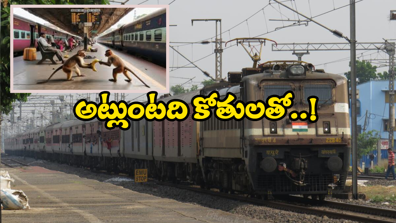 Monkeys Fight for Banana: కోతుల మధ్య కొట్లాట, నిలిచిన రైళ్ల రాకపోకలు!