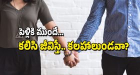 Living In Relationship: పెళ్ళికి ముందే సహజీవనం చేస్తే.. ఆ జంట విడాకులు తీసుకునే అవకాశాలు తగ్గుతాయా?