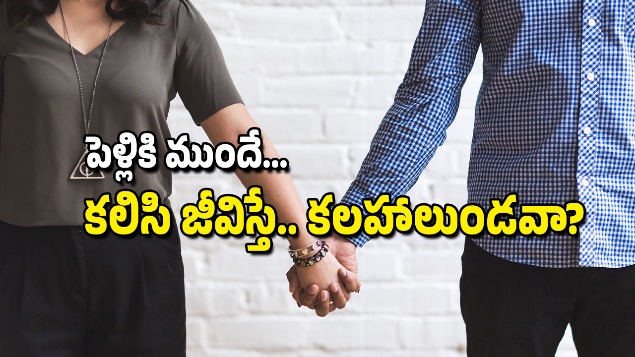Living In Relationship: పెళ్ళికి ముందే సహజీవనం చేస్తే.. ఆ జంట విడాకులు తీసుకునే అవకాశాలు తగ్గుతాయా?