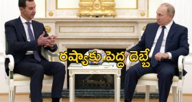 OTT Movie : ఆ దీవిలోకి అమ్మాయిలను తీసుకెళ్ళి ఏం చేస్తారో తెలిస్తే... వణుకు పుట్టించే థ్రిల్లర్ మూవీ