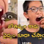 Parrot Dentist: దంతవైద్యం చేసే చిలుక.. కచ్చితంగా చికిత్స చేస్తుంది!