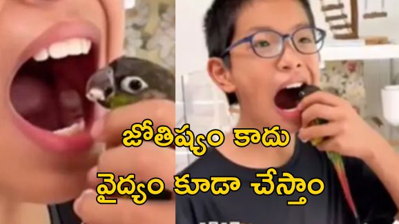 Parrot Dentist: దంతవైద్యం చేసే చిలుక.. కచ్చితంగా చికిత్స చేస్తుంది!