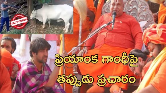 Priyanka Gandhi Cow : ప్రియాంక గెలిస్తే ఆవుని కాల్చి చంపారు?!.. హిందూ మతగురువు వివాదాస్పద వ్యాఖ్యలు
