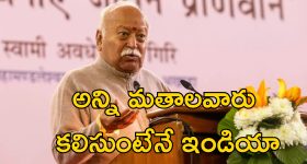 Mufasa: The Lion King Movie Review : ముఫాసా: ది లయన్ కింగ్ మూవీ రివ్యూ