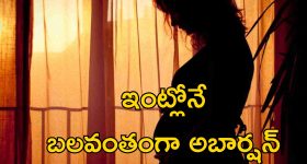 ASHA Worker Daughter-In-Law: బలవంతంగా కోడలు అబార్షన్ చేయించిన ఆశా వర్కర్.. మళ్లీ ఆడబిడ్డ పుడుతుందనే అనుమానం!