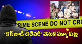 Constipation: ఇవి తింటే.. మలబద్ధకానికి ఇన్విటేషన్ ఇచ్చినట్లే!