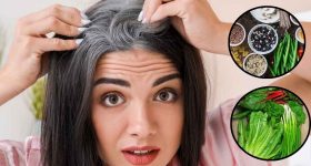 Foods For White Hair: ఇలా చేశారంటే.. తెల్లజుట్టు రమ్మన్నా రాదు