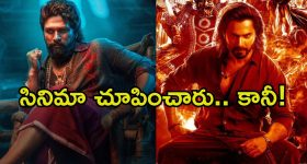 Pushpa 2: ‘పుష్ప 2’ టికెట్స్ ఇచ్చారు, ‘బేబి జాన్’ చూడమన్నారు.. ఇదెక్కడి అన్యాయం.?