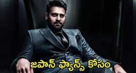 Hair Fall: జుట్టు రాలుతోందా ? వీటిని వాడితే.. అస్సలు రాలదు