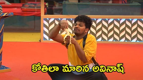 Bigg Boss 8 Telugu Promo: అవినాష్‌తో ఆడుకున్న ‘మా’ పరివారం.. ప్రైజ్ మనీ పెంచుకోవడానికి మరో ఆట