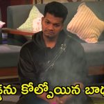 Bigg Boss 8 Telugu Promo: నాకు పిల్లలు ఉన్నారని అనుకుంటున్నారు.. ఎట్టకేలకు బిడ్డ చనిపోయిన విషయం బయటపెట్టిన అవినాష్