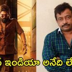Ram Gopal Varma: అల్లు అర్జున్‌కు హిందీ రాదు, ఇప్పుడు తనే బాలీవుడ్‌లో పెద్ద స్టార్.. ఈయన తిట్టారా? పొగిడారా?