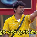 Bigg Boss 8 Analysis: నబీల్‌కు గెలుపు శాతం ఎంతంటే.?