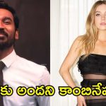 Dhanush: హాలీవుడ్ సెన్సేషనల్ బ్యూటీతో ధనుష్ సినిమా.. దిమ్మతిరిగే కాంబినేషన్ రెడీ!