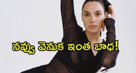 Gal Gadot: బ్రెయిన్‌లో బ్లడ్ క్లాట్, అప్పుడే ప్రెగ్నెన్సీ.. ఈ వండర్ ఉమెన్ జీవితంలో ఇంత విషాదమా.?