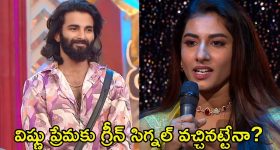 Bigg Boss 8 Telugu: విష్ణుప్రియా కోసం ఆ విద్య నేర్చుకుంటానన్న పృథ్వి.. పెళ్లికి ఓకే చెప్పినట్టేనా?