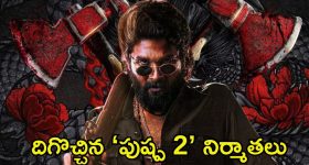 Pushpa 2 Ticket Prices: ‘పుష్ప 2’ నిర్మాతలకు జ్ఞానోదయం.. నైజాంలో టికెట్ ధరలపై కీలక నిర్ణయం