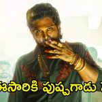 Case on Pushpa 2: హైకోర్టులో ‘పుష్ప 2’ పై మరో కేసు.. దీనిపై హైకోర్టు ఏం చెప్పిందంటే.?