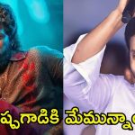YCP Supports Pushpa 2: మెగా ఫ్యాన్స్ లేకపోతే ఏంటి, మేము ఉన్నాం.. అల్లు అర్జున్‌కు వైసీపీ ఫాలోవర్స్ సపోర్ట్
