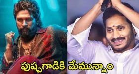 YCP Supports Pushpa 2: మెగా ఫ్యాన్స్ లేకపోతే ఏంటి, మేము ఉన్నాం.. అల్లు అర్జున్‌కు వైసీపీ ఫాలోవర్స్ సపోర్ట్