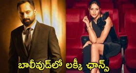 Fahadh Faasil: బాలీవుడ్ డెబ్యూకు సిద్ధమయిన ‘పుష్ప’ విలన్.. ‘యానిమల్’ బ్యూటీతో రొమాన్స్‌కు రెడీ